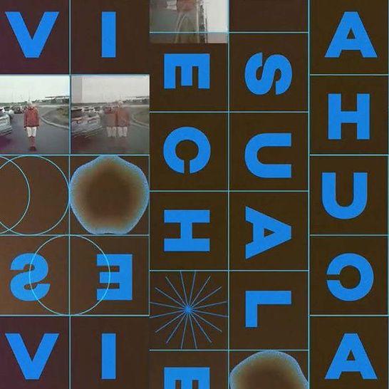 Visual Echoes