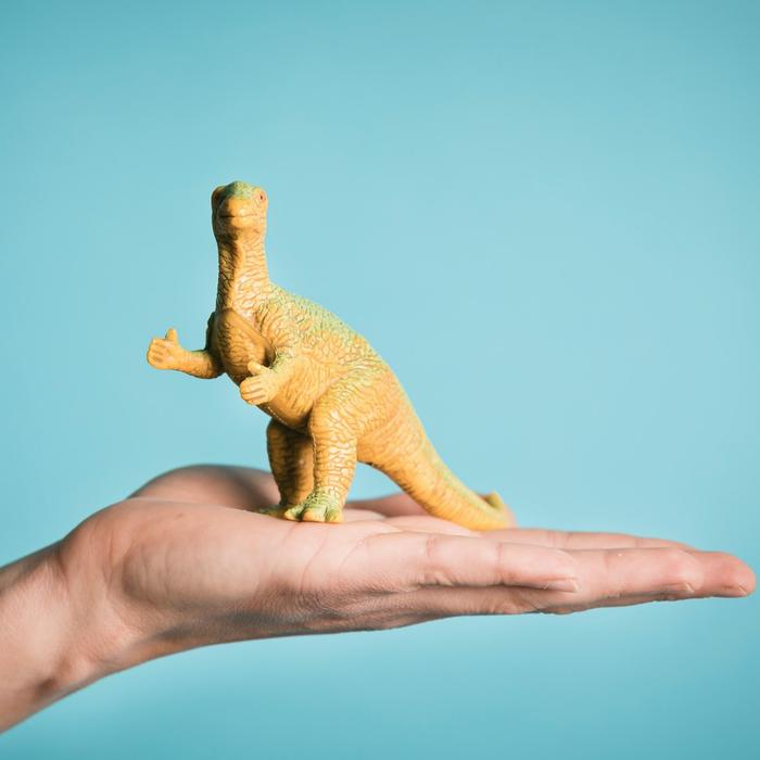 Dinosaur
