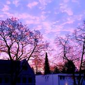 "Wilmersdorf Berlin in the early hours. When your computer screen wakes up before the sun does." (Rebecca Hardie, Managing Editor, Living Handbook of Temporal Communities (LHTC))