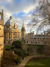 "A dazzling Radcliffe Camera, an old majestic tree, and a modern rainbow of LGBT+ pride flag form the view of my usual corner at the Duke Humphrey library, the old Bodleian" (Sepid Birashk, Research Associate in Research Area 3: "Future Perfect")