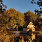 "Sunny afternoon in Oxfordshire" (Nicolas Longinotti, Member, RA 1: "Competing Communities", Autumn 2021)