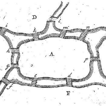 Solutio problematis ad geometriam situs pertinentis, Fig. 3.