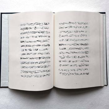 Rosaire Appel, 'As It Were' (2010).