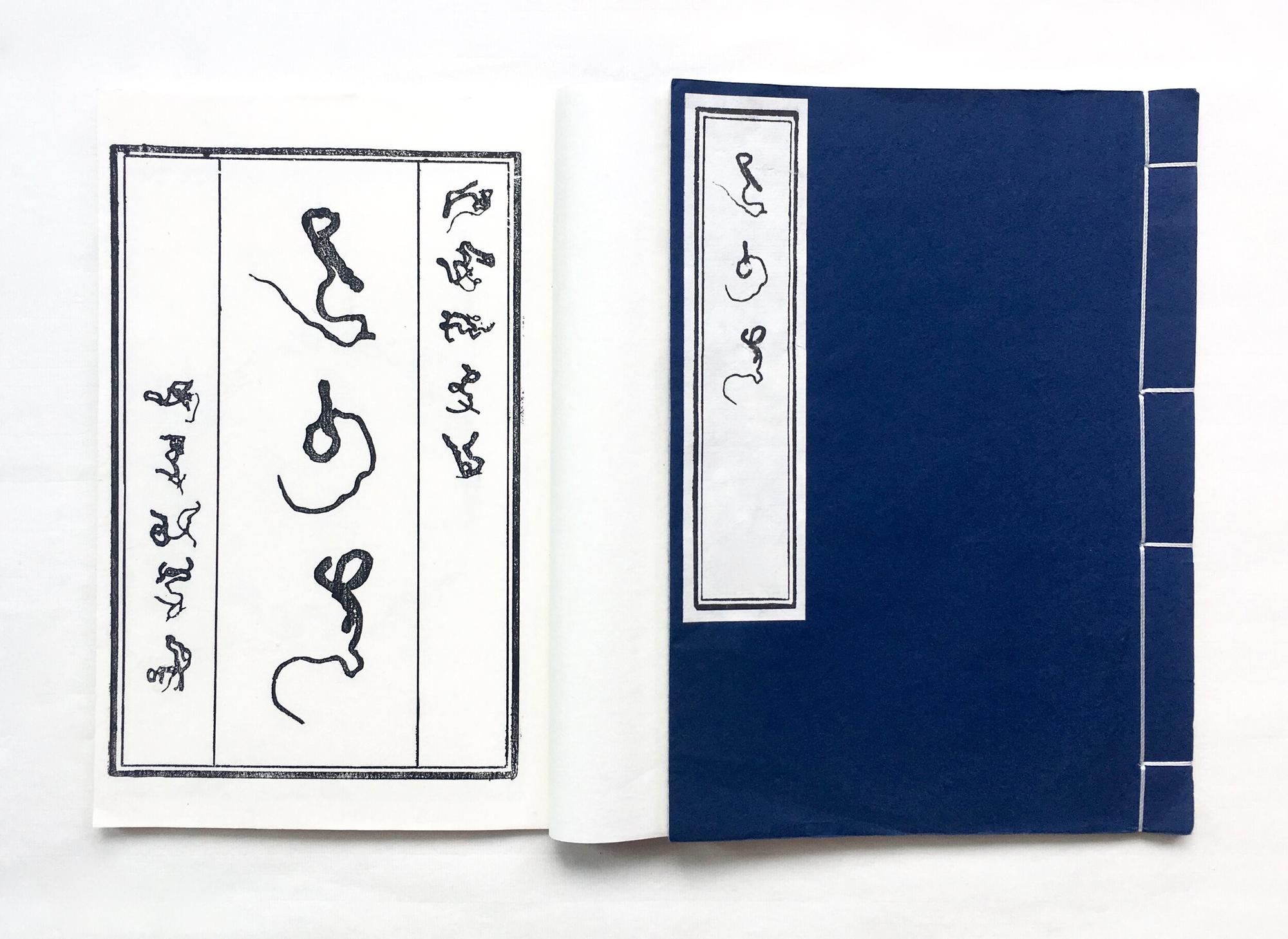 Zhu Yingchun, 'The Language of Bugs' (2015-2019).