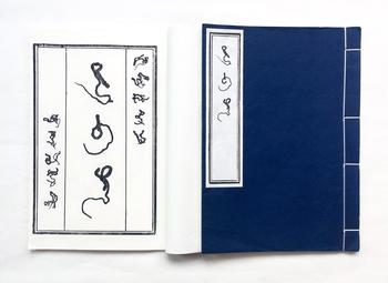 Zhu Yingchun, 'The Language of Bugs' (2015-2019).