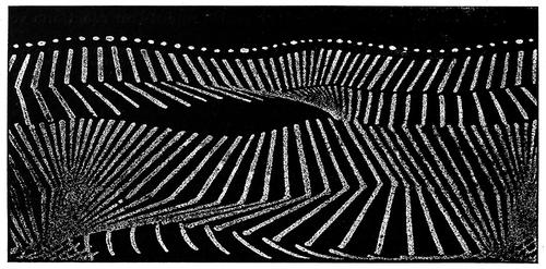 Marey_La_méthode_graphique_0768_public domain